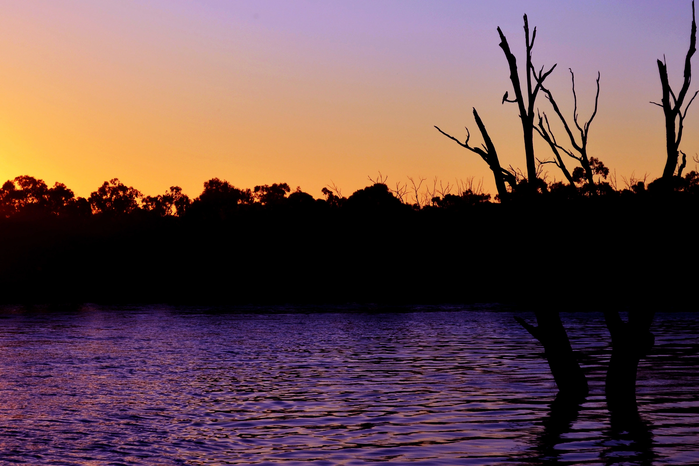 Mildura,_Victoria[1].webp
